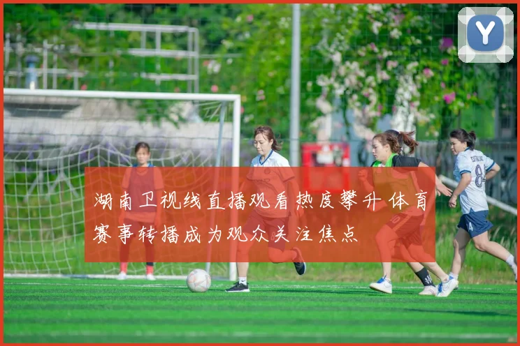 湖南卫视线直播观看热度攀升 体育赛事转播成为观众关注焦点