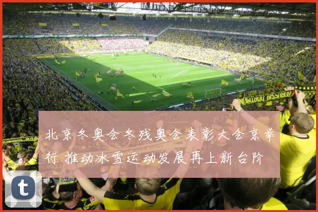 北京冬奥会冬残奥会表彰大会京举行 推动冰雪运动发展再上新台阶