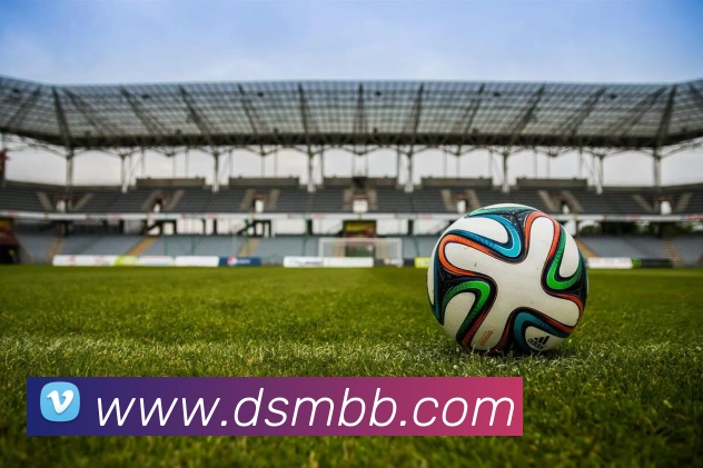 App Interface Preview