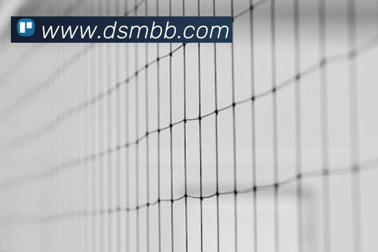 买球官方APP 封面图